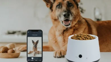 pet feeder with camera